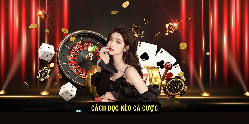 Cách đọc kèo cá cược