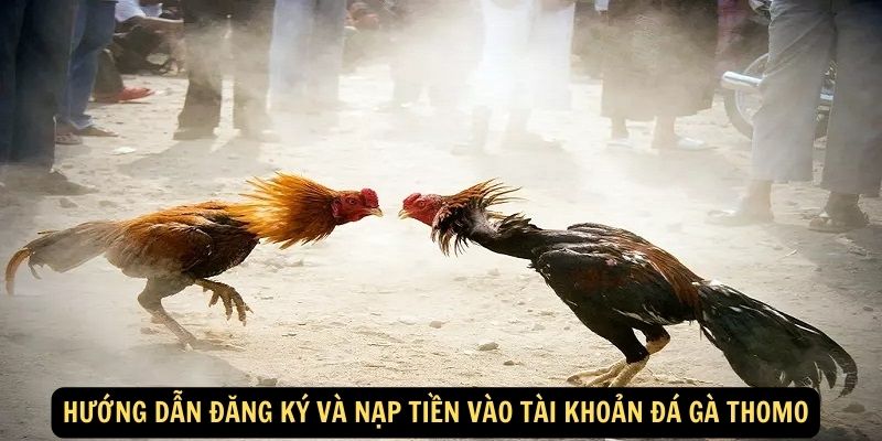 Huong dan dang ky va nap tien vao tai khoan da ga Thomo