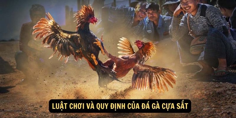 Luat choi va quy dinh cua da ga cua sat