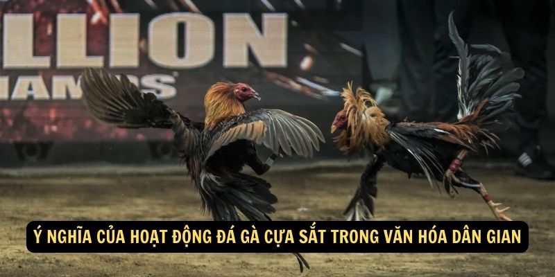 Y nghia cua hoat dong da ga cua sat trong van hoa dan gian